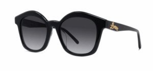 Loewe LW40079U