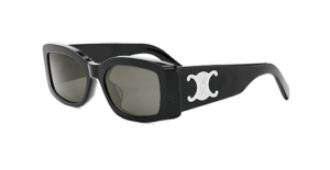 Celine CL40282U