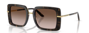 Dolce & Gabbana DG4491